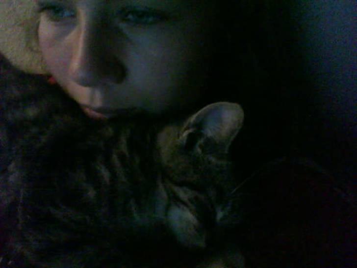 Huskat Hodya billede 15