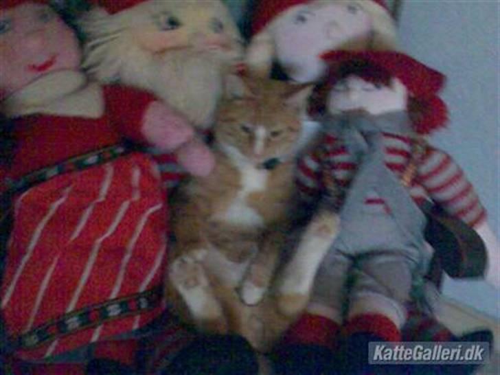 Huskat Garfild †R.I.P† sov sødt -  se jeg er osse en dukke:-) billede 6