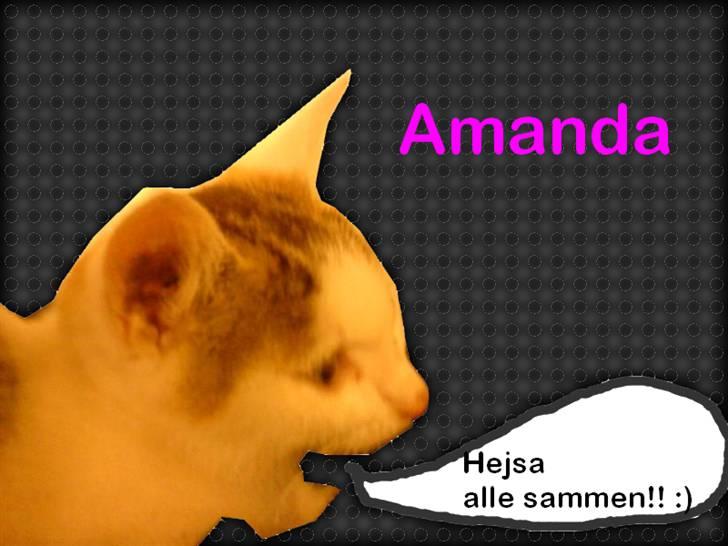 Huskat Amanda. billede 7