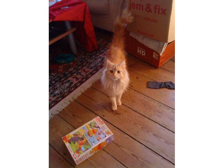 {{currentPhoto.altText}} billede {{currentPhoto.number}}