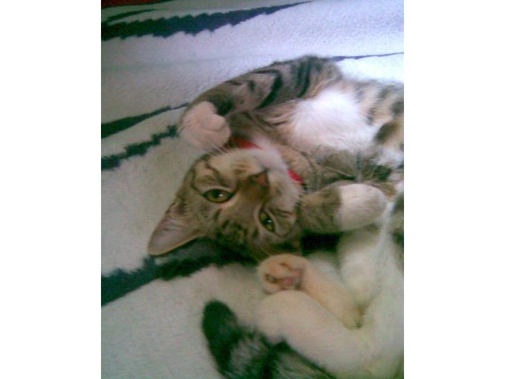 {{currentPhoto.altText}} billede {{currentPhoto.number}}