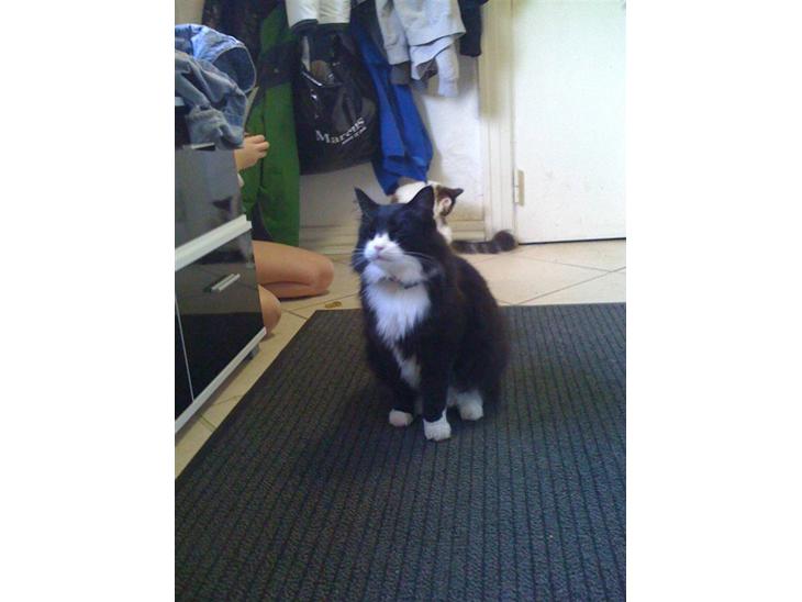 {{currentPhoto.altText}} billede {{currentPhoto.number}}