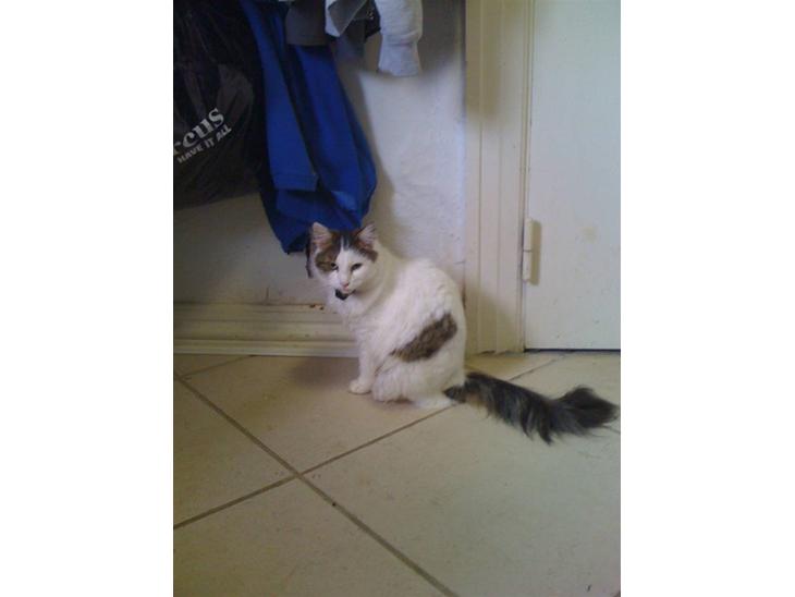 {{currentPhoto.altText}} billede {{currentPhoto.number}}