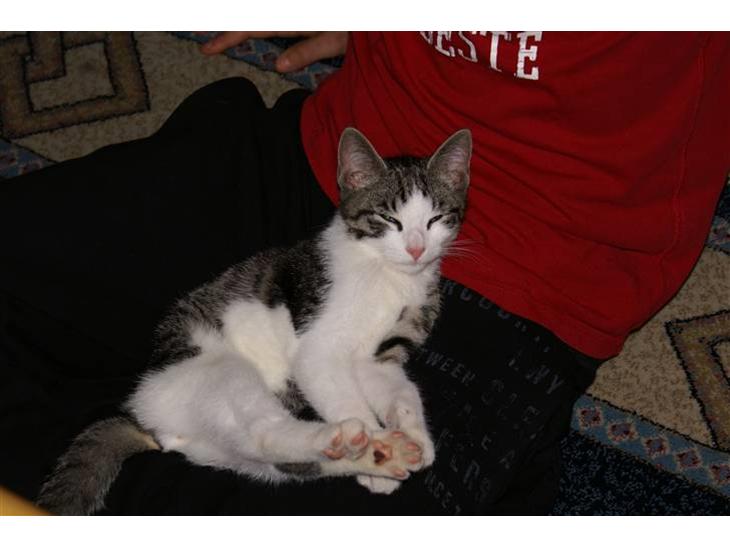 {{currentPhoto.altText}} billede {{currentPhoto.number}}