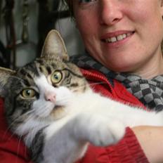 Huskat Hrmann Hitte kat