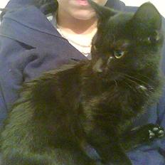 Huskat Bette-mis * R.I.P *