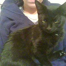 Huskat Bette-mis * R.I.P *