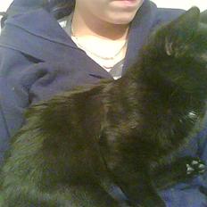 Huskat Bette-mis * R.I.P *