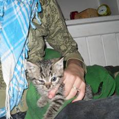 Huskat Minni you<3DØD :*C