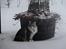 Maine Coon Cosmo R.I.P. 30/7-2011 - Cosmo i sneen, vinter 09