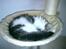 Blanding af racer Felix - Den bedste plads i hele huset, her sover jeg meget :)