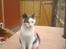 Huskat Oliver R.I.P