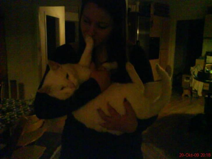 Huskat Malthe billede 16