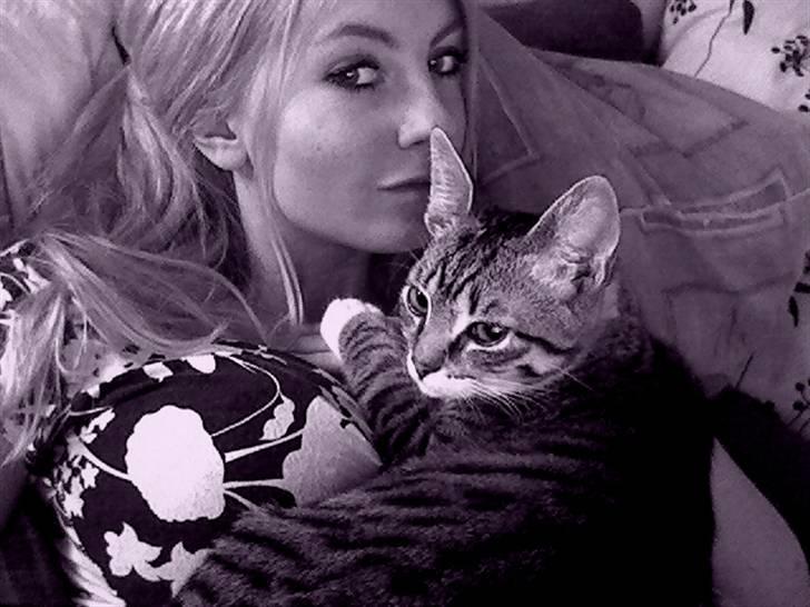 Huskat Nimbus billede 18