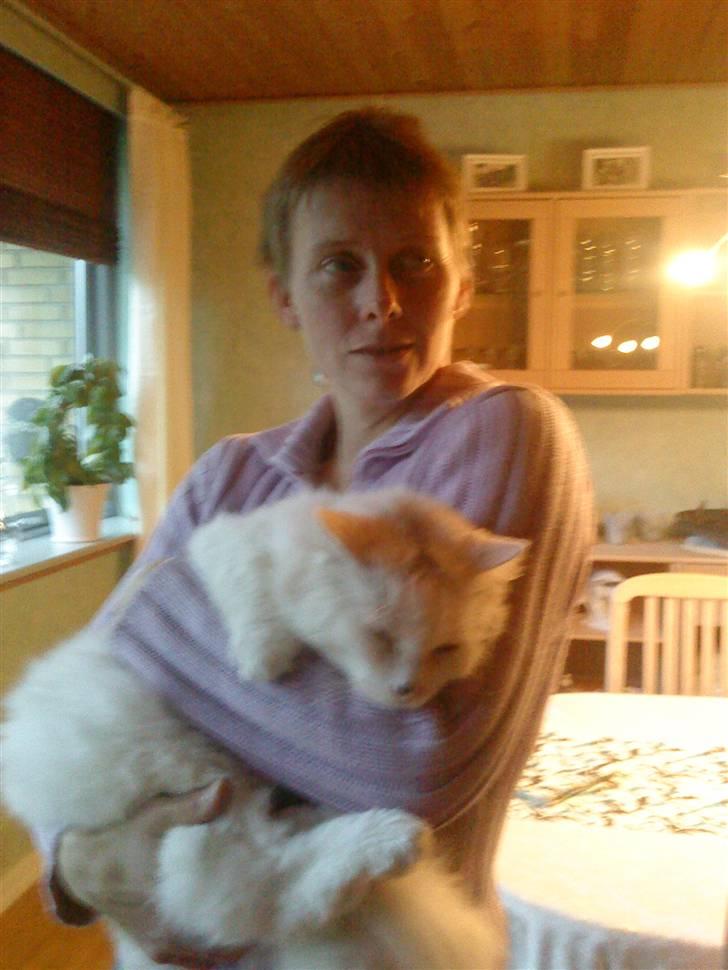 Huskat nala billede 2