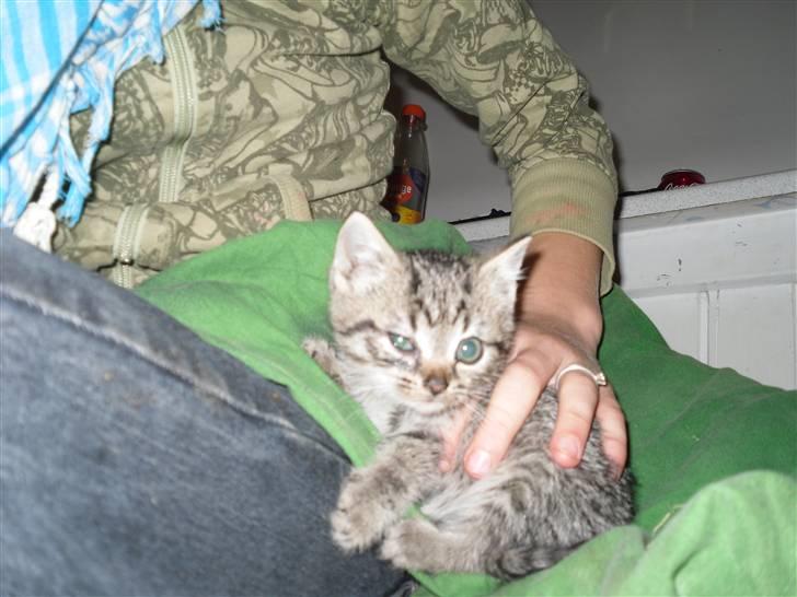 Huskat Minni you<3DØD :*C billede 5