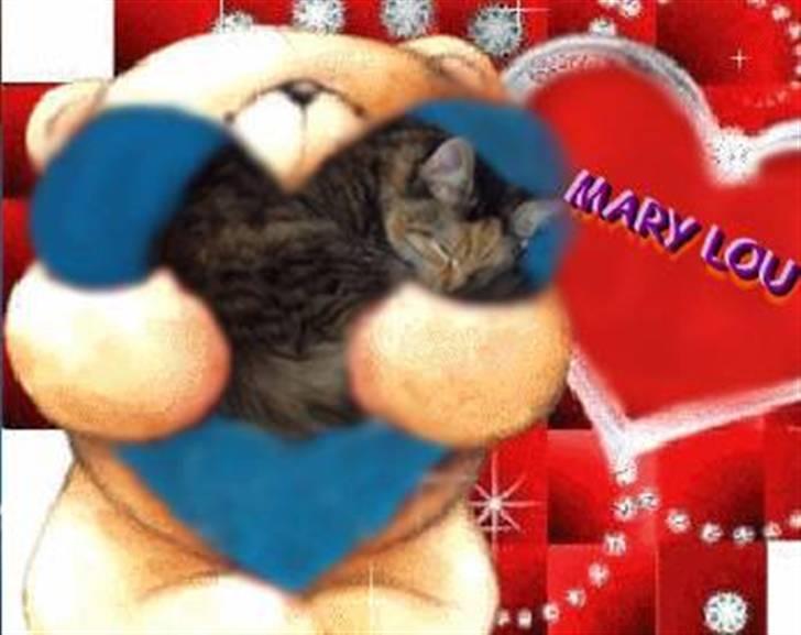 Blanding af racer Mary lou billede 19