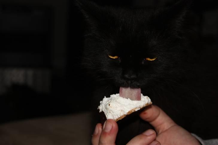 Blanding af racer Buster Nielsen - mmm flødeboller, men øv jeg måtte ikke få den hele. billede 11