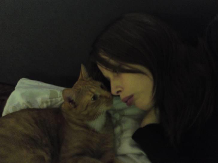 Huskat Bastian billede 16