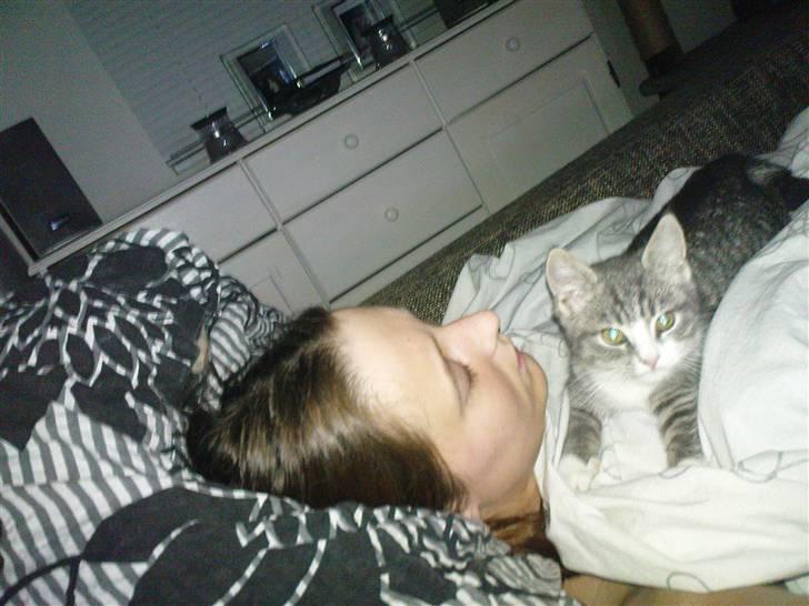 Huskat Monty billede 6