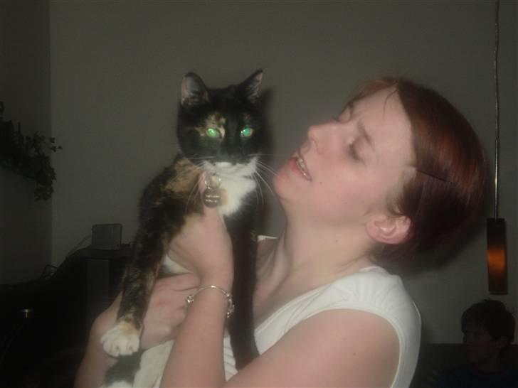 Huskat Daysi billede 2