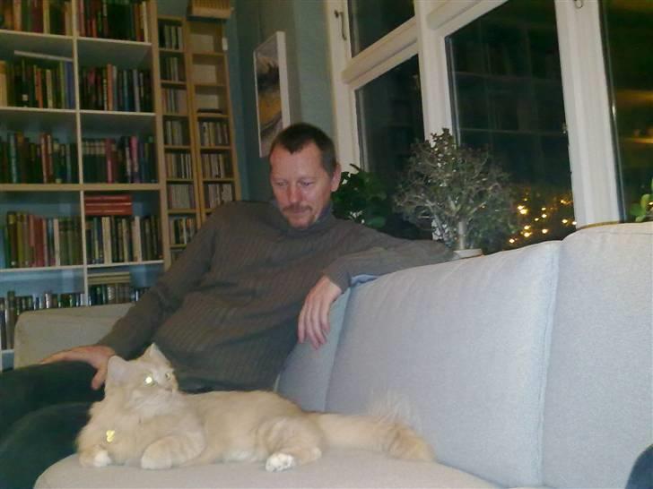 Blanding af racer Frida - Dejligt at putte ved min bedste ven :) billede 5