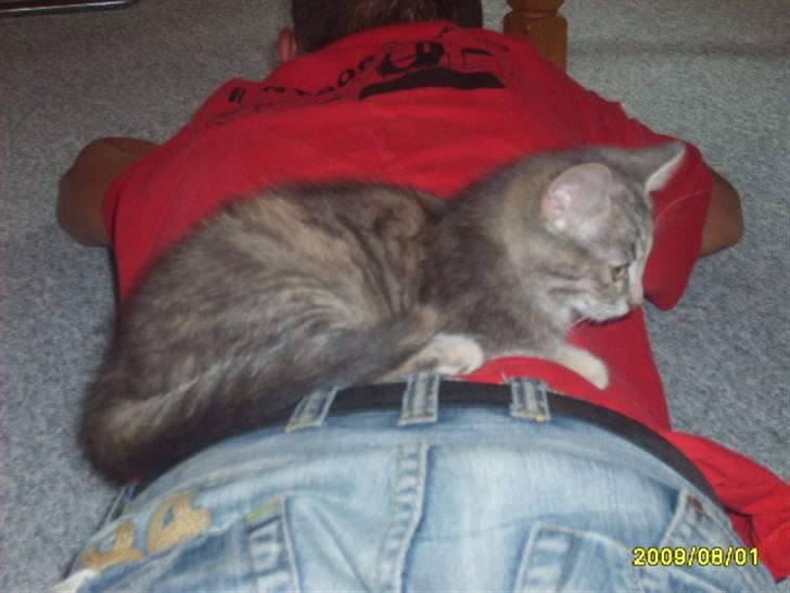 Huskat Pjevs(R.I.P) - Nyt ja her lægge jeg godt billede 13