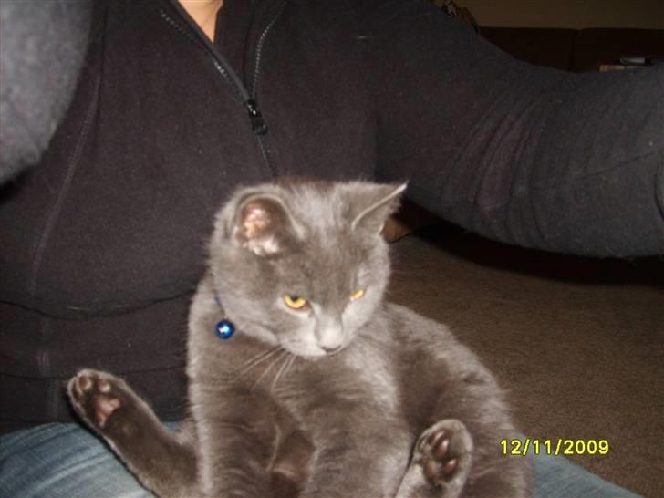 Huskat Balou ¨ Aflivet¨ billede 10