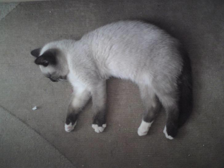 Blanding af racer Batman billede 2