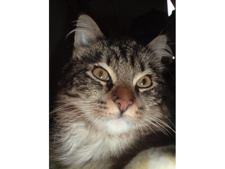 {{currentPhoto.altText}} billede {{currentPhoto.number}}