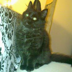 Blanding af racer Konrad