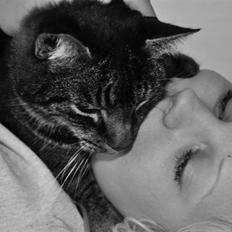 Huskat Oliver (Maria's kat)