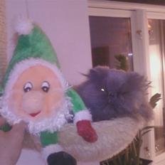 Perser Sofie. hvil i fred skat 