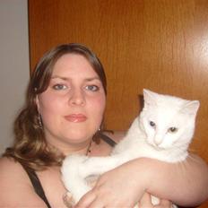 Blanding af racer Gizmo