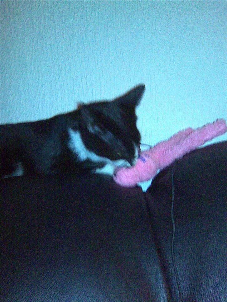 Huskat Nella billede 11