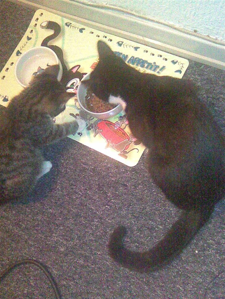 Huskat Nella billede 12