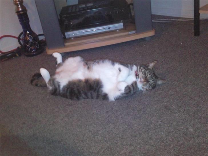 Huskat Fini - Se mor, jeg ruller! billede 2