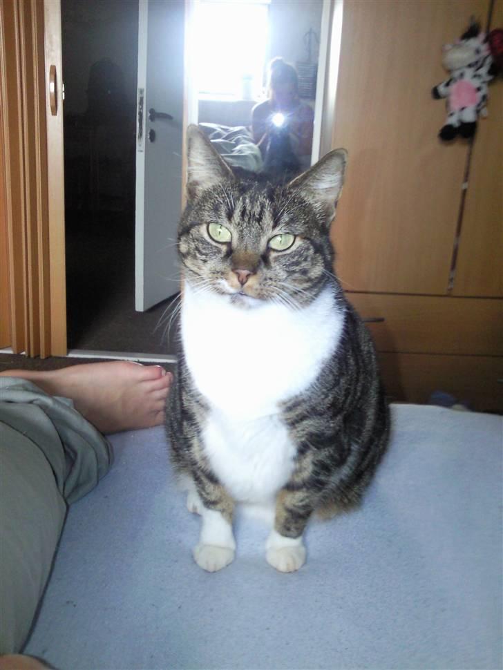 Huskat Fini - Haha, jeg vækkede lige mor tidligt i en weekend, hvor hun ellers sover længe. billede 5