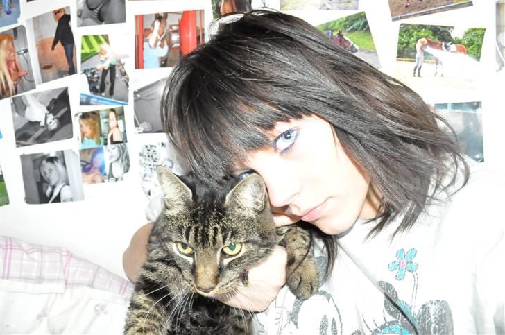 Huskat Oliver (Maria's kat) billede 10