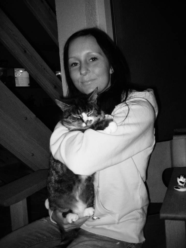 Huskat Mille R.I.P billede 3