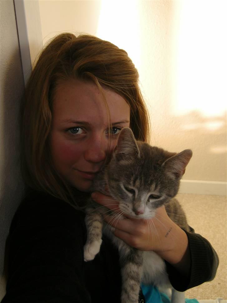 Blanding af racer royal <3 - ej et dårligt billede af oz hva?<3 billede 4