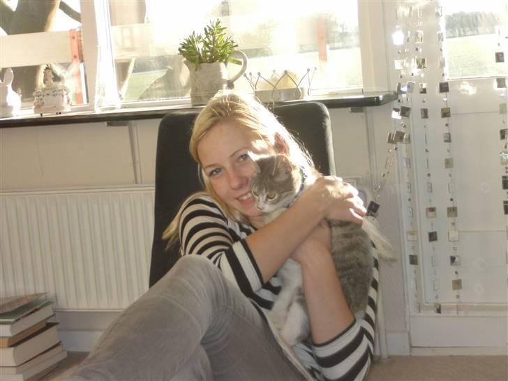 Blanding af racer royal <3 billede 13