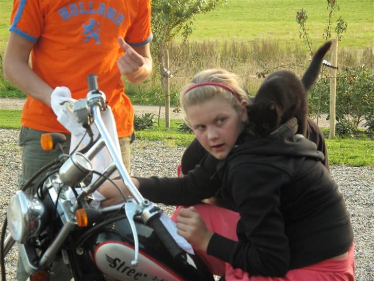 Huskat Sofus - Fordi du er en kravlenisse! billede 2