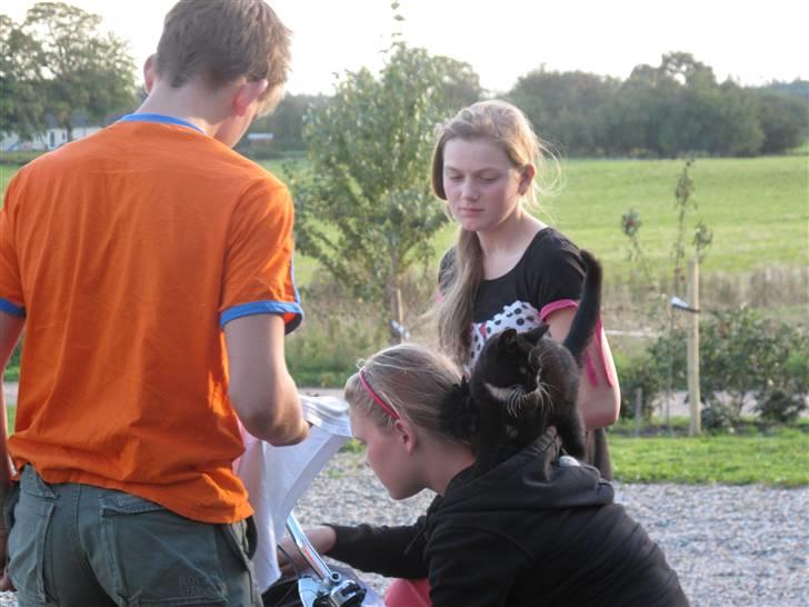 Huskat Sofus - Fordi du er den bedste! billede 3