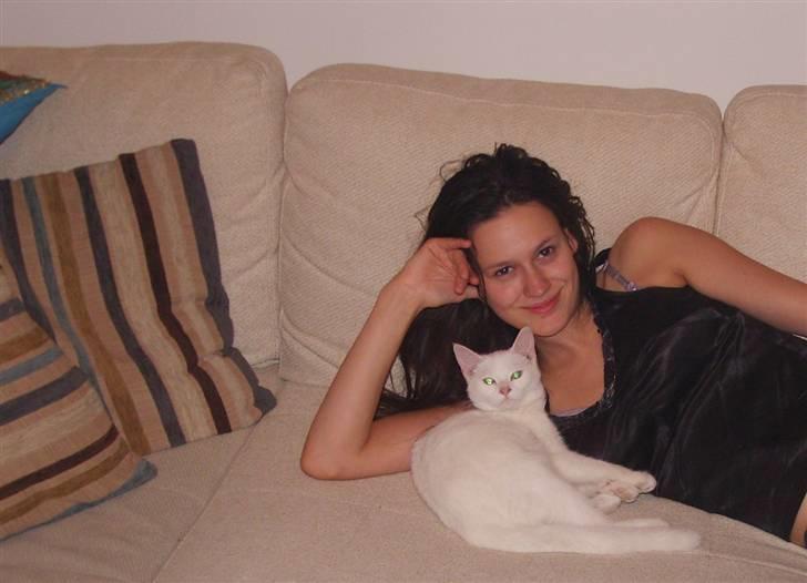 Tyrkisk Angora Lily White von Isadora billede 10