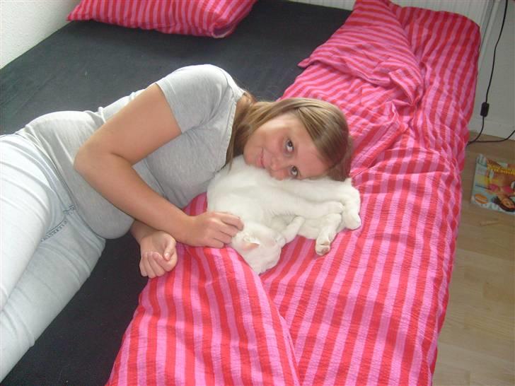 Blanding af racer Gizmo - Gizmo og min lille søster der hygger ;) billede 4