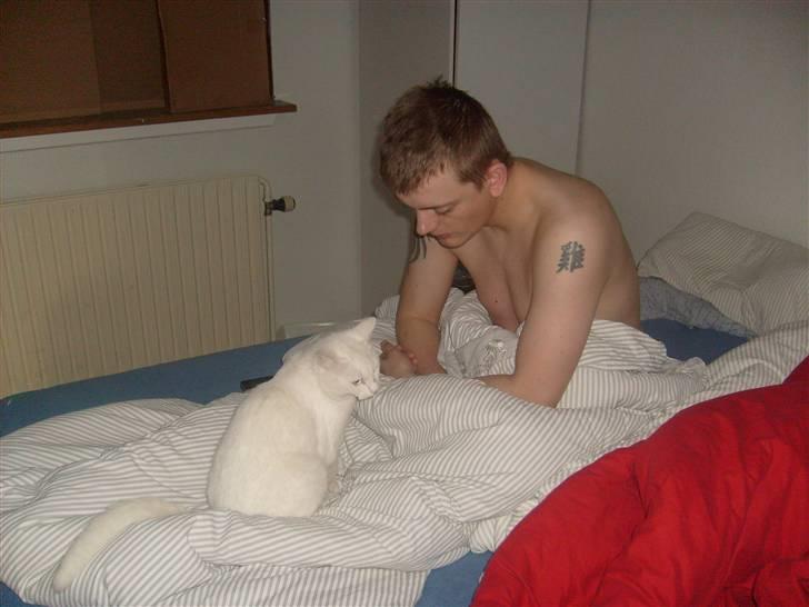 Blanding af racer Gizmo - gizmo og min mand billede 5