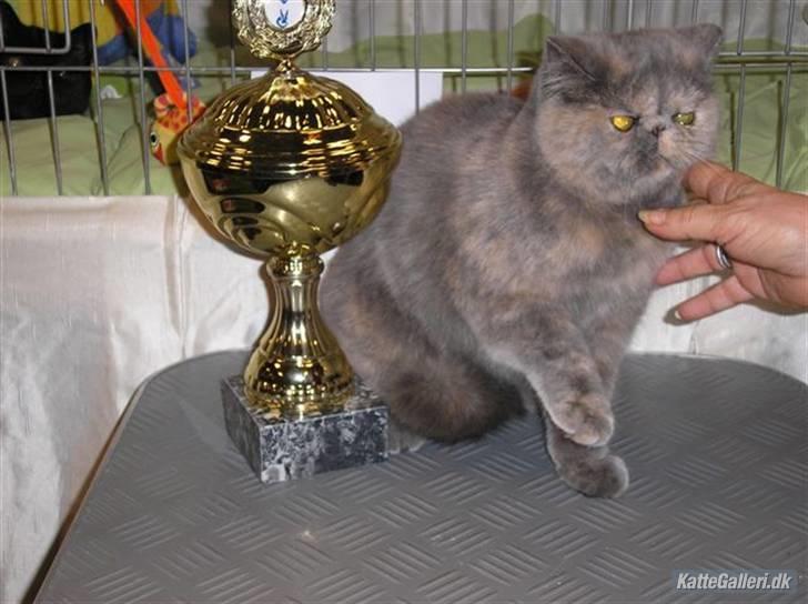 Exotic Maddie billede 1