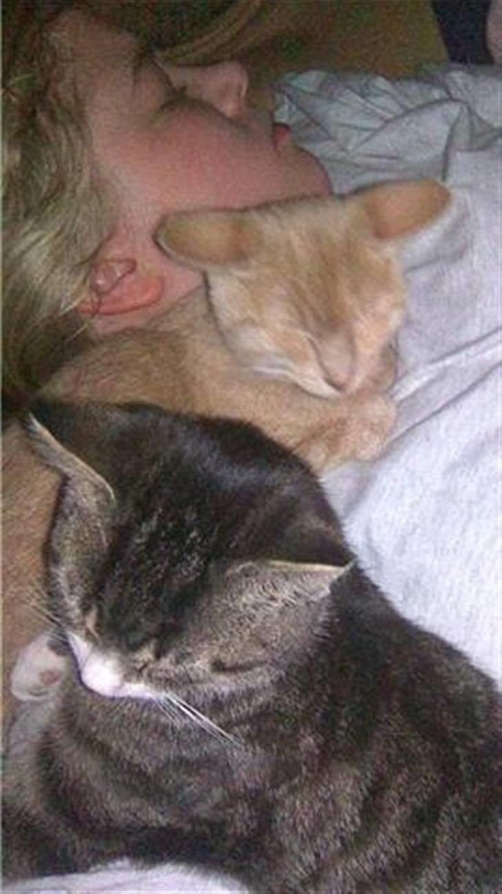 Huskat Dina - Sådan ser det ud når vi sover... Åbenbart :) billede 8