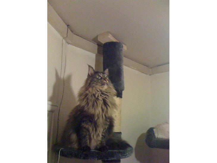 {{currentPhoto.altText}} billede {{currentPhoto.number}}